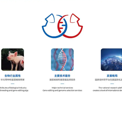 如何巧妙融合不同元素進行Logo設(shè)計？